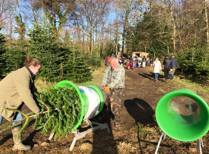 - Cranborne Estate  - Cranborne Estate