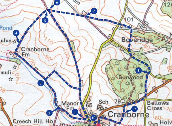 Local walks - Cranborne Estates