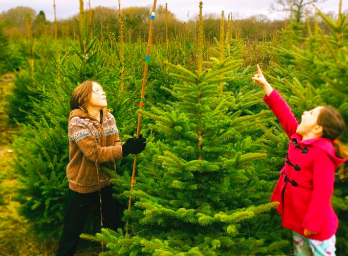 - Cranborne Estate  - Cranborne Estate