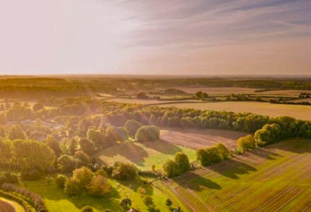 Join Our Sustainability Team as a Project Ecologist - Cranborne Estate