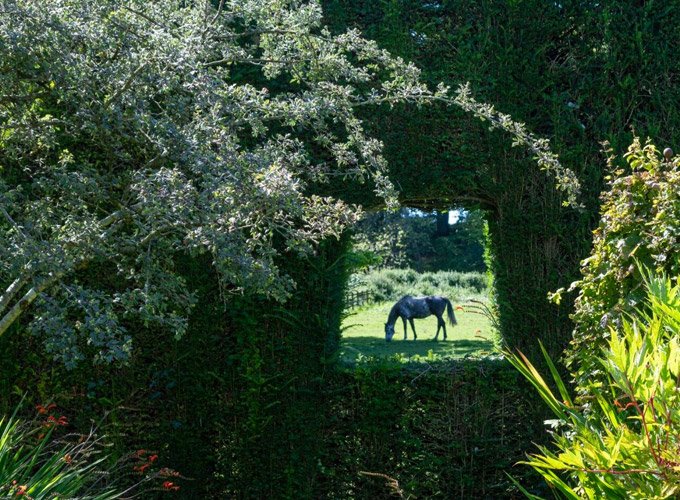 Downloads - Cranborne Estate