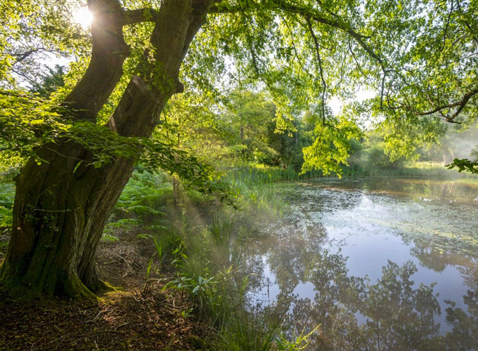 Downloads - Cranborne Estate