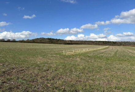 59% of Our Annual Average Rainfall in Just Ten Weeks - Cranborne Estate