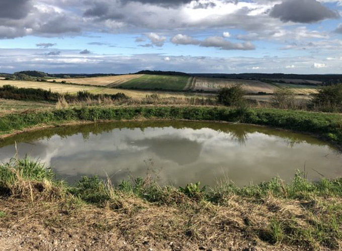 Farming, Food & Conservation - Cranborne Estates