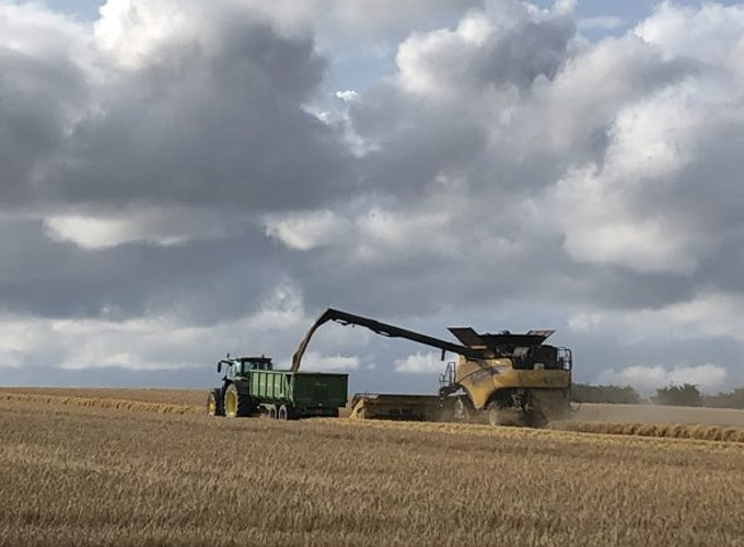 Farming Clusters - Cranborne Estates