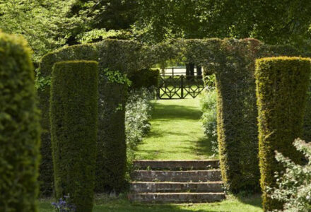 Join the Team as the Head Gardener - Cranborne Estate