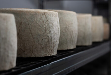 The Book & Bucket Cheese Company announce new cheese for Cunard’s newest ship - Cranborne Estate