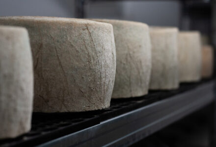 The Book & Bucket Cheese Company Announce New Cheese for Cunard’s Newest Ship - Cranborne Estate