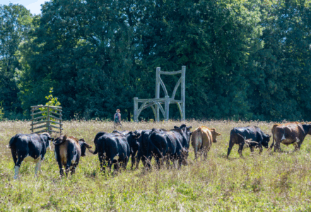 Demonstrating Best Practices in Sustainable Farming - Cranborne Estate