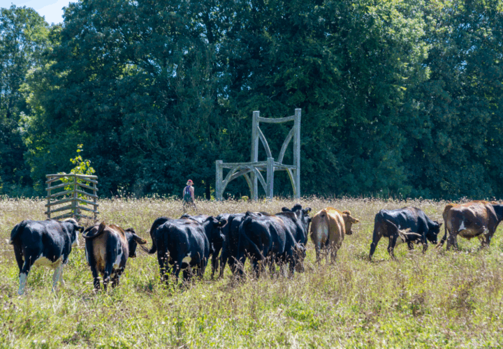 Demonstrating Best Practices in Sustainable Farming - Cranborne Estate Demonstrating Best Practices in Sustainable Farming - Cranborne Estate